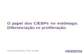 O papel dos C/EBPs no estômago. Diferenciação vs proliferação. José Carlos Machado, Porto, Portugal.
