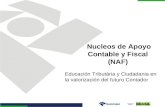 Nucleos de Apoyo Contable y Fiscal (NAF) Educación Tributária y Ciudadania en la valorización del futuro Contador.