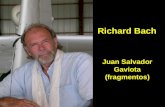 Richard Bach Juan Salvador Gaviota (fragmentos) Richard Bach terminó únicamente un año en la universidad, después se entrenó para convertirse en piloto.
