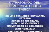 1 ULTRASONIDO DEL HOMBRO:PATOLOGIA BASICA DR LUIS FERNANDO CHAVARRIA ESTRADA CURSO DE ECOGRAFIA MUSCULOESQUELETICA UNIVERSIDAD DE LOS ANDES SETIEMBRE,2014.