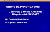 Comercio y Medio Ambiente Disputas Art. XX GATT Dr. Roberto Rios Herran European Law Centre GRUPO DE PRACTICA OMC.