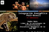 Integración Energética Perú- Brasil II Seminario Pedro Bara Líder de la estrategia de infraestructura Iniciativa Amazónica de la red WWF Lima, 14 y 15.