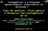 Transgênicos e a Produção agroecológica: coexistência ou exclusão ? Tipo de análise, fluxo gênico e Pesquisa com transgênicos em SC Rubens Onofre Nodari.