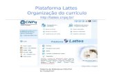Plataforma Lattes  Organização do currículo lattespq.br
