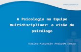 A Psicologia na Equipe Multidisciplinar: a visão do psicólogo
