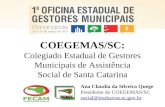 COEGEMAS/SC: Colegiado Estadual de Gestores Municipais de Assistência Social de Santa Catarina