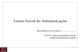 Teoria Geral da Administração Prof. Mauri Cesar Soares