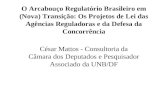 César Mattos - Consultoria da Câmara dos Deputados e Pesquisador Associado da UNB/DF