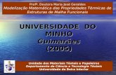 UNIVERSIDADE  DO  MINHO Guimarães (2005)