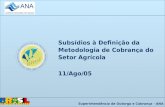 Subsídios à Definição da Metodologia de Cobrança do Setor Agrícola 11/Ago/05