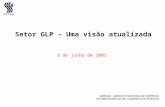 Setor GLP – Uma visão atualizada 9 de junho de 2005  SINDIGAS - SINDICATO NACIONAL DAS EMPRESAS