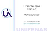 Hematologia  Clínica Hematopoiese