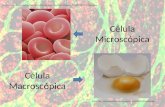 Célula Microscópica