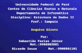 Universidade Federal do Pará Centro de Ciências Exatas e Naturais Departamento de Informática
