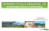 PERSPECTIVAS E DESAFIOS  DO AGRONEGÓCIO CAPIXABA