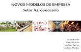 NOVOS MODELOS DE EMPRESA Setor Agropecuário