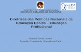 Diretrizes das Políticas Nacionais da Educação Básica – Educação Profissional