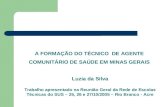 A FORMAÇÃO DO TÉCNICO  DE AGENTE COMUNITÁRIO DE SAÚDE EM MINAS GERAIS