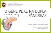 O GENE PDX1 NA DUPLA VIDA DO          PÂNCREAS