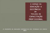 O ESPAÇO DA  EDUCAÇÃO A DISTÂNCIA  EM  TRILHAS DE  CAPACITAÇÃO PROFISSIONAL