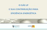 O GÁS LP E SUA CONTRIBUIÇÃO PARA EFICIÊNCIA ENERGÉTICA