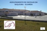 AGRUPAMENTO DE ESCOLAS DA SEQUEIRA - GUARDA
