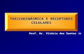TOXICODINÂSMICA  E RECEPTORES  CELULARES