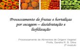 Processamento de frutas e hortaliças por secagem – desidratação e liofilização