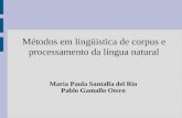 Métodos em lingüistica de corpus e processamento da língua natural