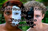 Distribuição Étnica  da  População Brasileira