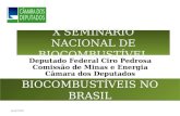 X SEMINÁRIO NACIONAL DE BIOCOMBUSTÍVEL