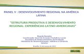 Painel V  :  Desenvolvimento Regional na América Latina