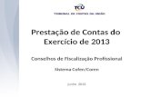 Prestação de Contas do  Exercício de 2013 Conselhos de Fiscalização Profissional