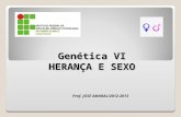 Genética VI HERANÇA  E  SEXO