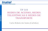 TP 319 REDES DE ACESSO, REDES TELEFÔNICAS E REDES DE TRANSPORTE
