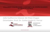 Julio Guilherme Glasner de Maia Chagas Orientador: Prof. Dr. Carlos André G. Ferraz