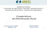 Cooperativas  de Eletrificação Rural