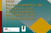 PROF - Gerenciamento de Projetos com Financiamento Nacional e/ou Internacional