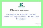 Formação de Capital Social entre os Empresários de Núcleos Setoriais