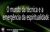 Prof. Dr. Evilázio Teixeira 08/06/10