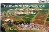 FUNDAÇÃO MS PARA PESQUISA E DIFUSÃO DE TECNOLOGIAS AGROPECUÁRIAS fundacaoms.br