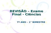 REVISÃO – Exame Final - Ciências
