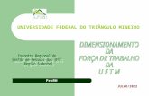 DIMENSIONAMENTO DA FORÇA DE TRABALHO DA U F T M