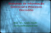 Sistemas de Informação Gerencial e Processo Decisório