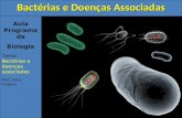 Aula Programada Biologia Tema: Bactérias e doenças associadas Prof.  Mário    Gregório