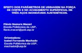 Orientadora: Izabel Fernanda Machado Escola Politécnica da USP,  machadoi@usp.br
