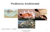 Pediatria Ambiental