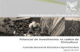 Comissão Nacional de  Silvicultura e  Agrossilvicultura Agosto de 2014
