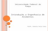 Universidade Federal do Pampa