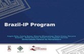 Brazil-IP Program